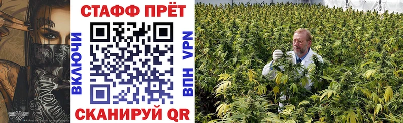Как найти наркотики Барыш Галлюциногенные грибы ГАШ COCAIN