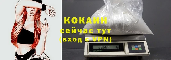 сатива Белоозёрский